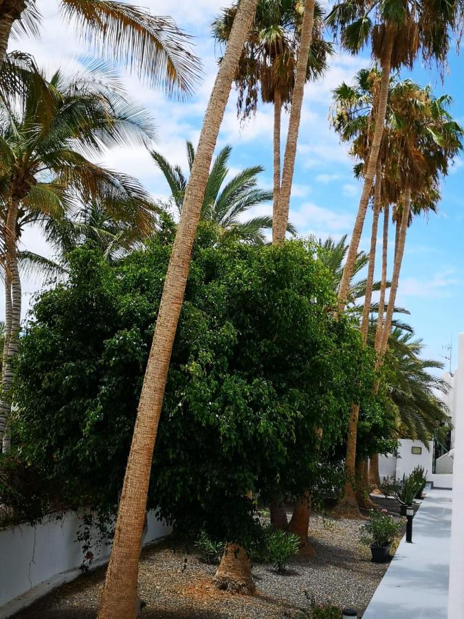 Estrella De Mar Apartment Tarajalejo Exterior photo